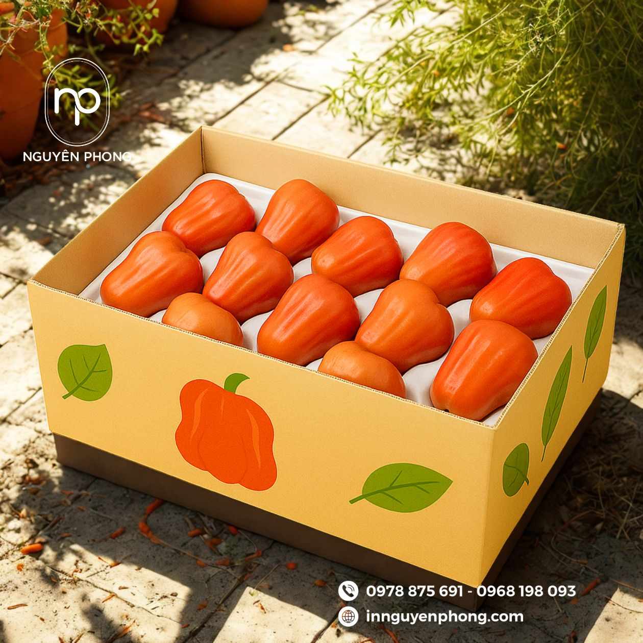 mẫu-thùng-carton-đựng-mận/roi